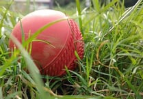 A scorer and an umpire are needed at Sandford Cricket Club