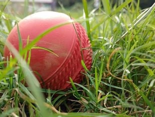 A scorer and an umpire are needed at Sandford Cricket Club