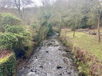 Authorities' response to diesel spill 'disappointing,' says parkkeeper
