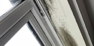 Mid Devon Housing’s innovative approach to tackle damp and mould
