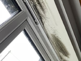 Mid Devon Housing’s innovative approach to tackle damp and mould
