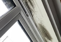 Mid Devon Housing’s innovative approach to tackle damp and mould
