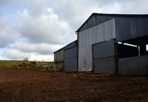 New green scheme rewards farmers