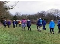 Good walking and plenty of bantering on walk