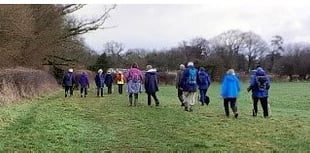 Good walking and plenty of bantering on walk