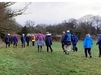 Good walking and plenty of bantering on walk