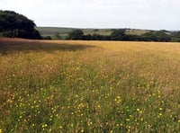Exmoor landscapes funding joy