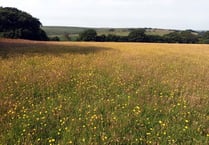 Exmoor landscapes funding joy