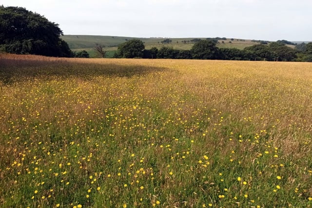 Exmoor landscapes funding joy