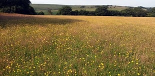 Exmoor landscapes funding joy