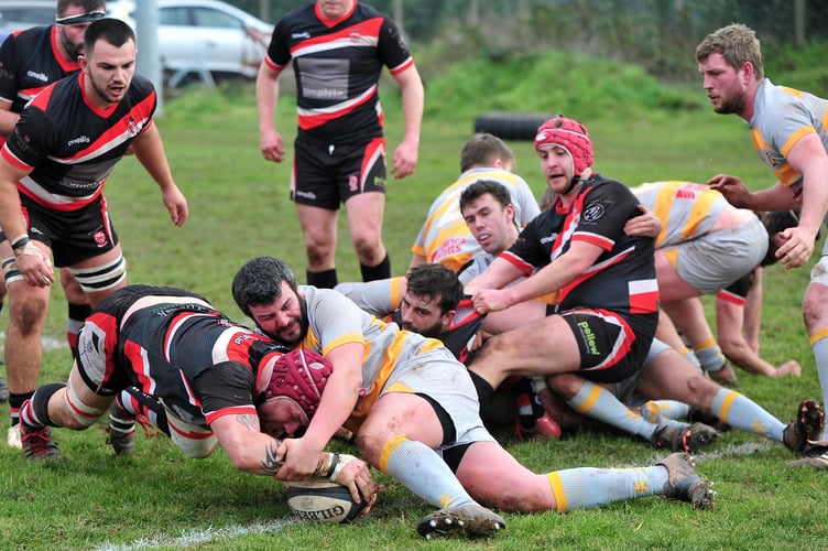 Photo: Steve Pope  MDA110223C_SP001

Regional 2 Tribute South West Rugby. Teignmouth versus Crediton
Full time score of 19 - 41.
