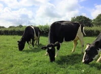 New SW event showcases agri-tech benefits
