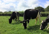 New SW event showcases agri-tech benefits
