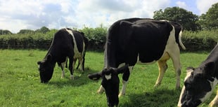 New SW event showcases agri-tech benefits

