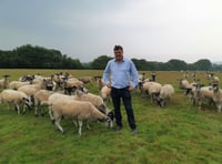 Supporting Dartmoor, by Mel Stride, the MP for Central Devon