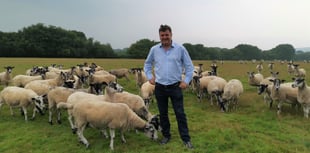 Supporting Dartmoor, by Mel Stride, the MP for Central Devon