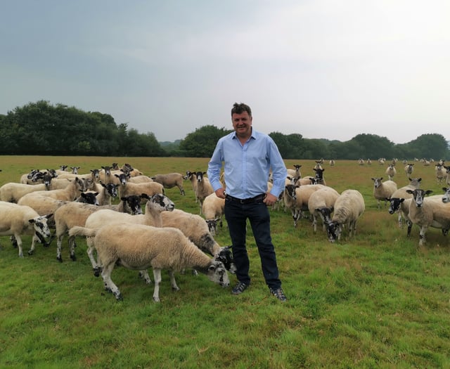 Supporting Dartmoor, by Mel Stride, the MP for Central Devon