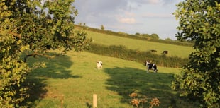 Farmers Union hope to resolve Exeter Council's proposed meat ban
