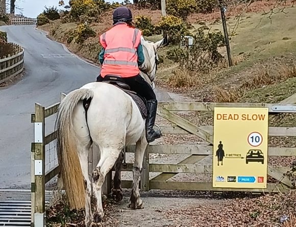 New signs to slow speed around horses in Devon