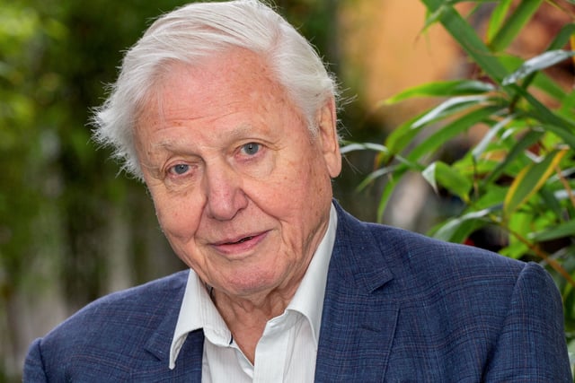 Christian Comment: Why not connect with the One who created you

