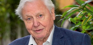 Christian Comment: Why not connect with the One who created you
