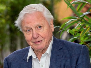 Christian Comment: Why not connect with the One who created you
