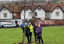 Tree planted at People’s Park, Crediton 