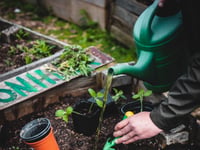 Spending time in the garden benefits mental health
