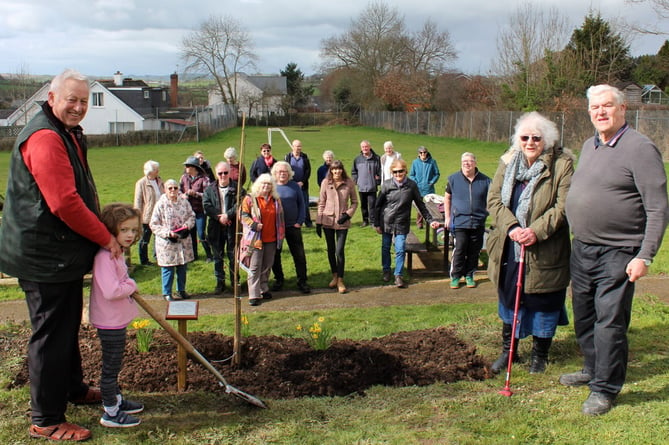 Five-years-old Florence Mills put the first shovel-full of earth into the hole for the tree, pictured with her grandfather Roy Andrews (secretary Lapford Youth Playing Field Trust) left with Sue Briant-Evans (secretary Lapford Celebration Committee) and Peter Heal (chairman, Lapford Parish Council), right, watched by a group of parishioners.  SR 7202
