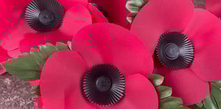 Volunteer collectors wanted by Crediton RBL for the Poppy Appeal
