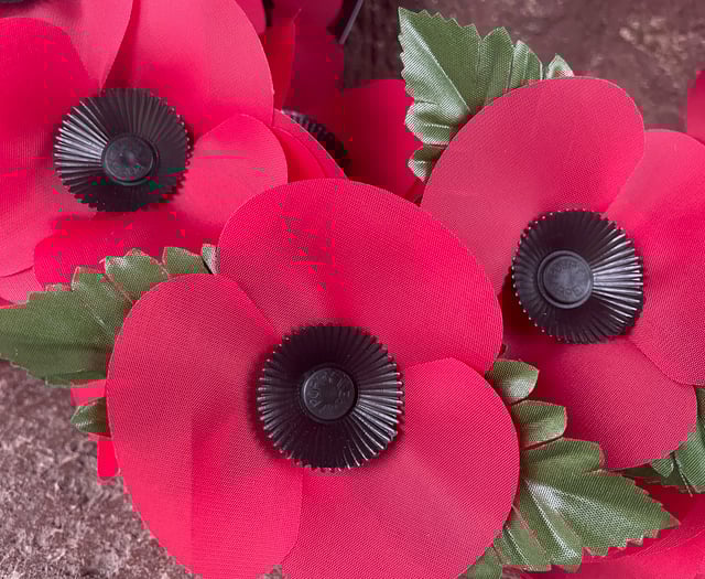 Crediton Remembrance times to note
