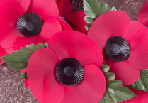 Volunteer collectors wanted by Crediton RBL for the Poppy Appeal

