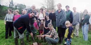 Sandford Green's 25th anniversary celebration
