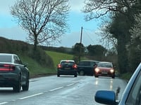 BREAKING: A377 closed after tree lands on car near Crediton
