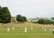 Sandford Cricket Club's good run continues
