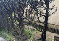 Two incidents for Crediton firefighters today
