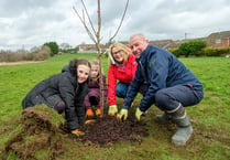 New £500,000 fund to support ‘green’ community spaces in Mid Devon
