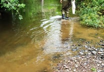 Less than 1 in 5 Mid Devon rivers rated ‘good’
