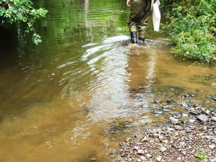 Less than 1 in 5 Mid Devon rivers rated ‘good’
