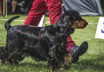 Family Dog Show at Sampford Courtenay
