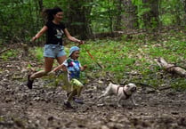 Cadbury Fun Run will be a fabulous hilly route