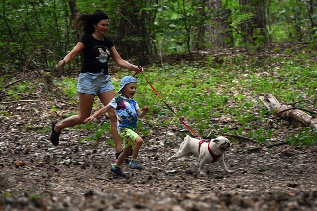 Cadbury Fun Run will be a fabulous hilly route
