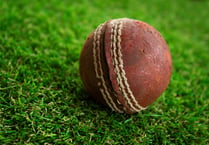 Sandford Cricket Club Community League
