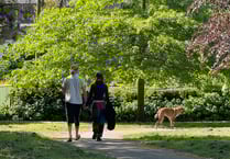 Dog wardens urged to be more vigilant with offenders in Crediton park
