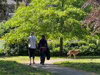 Dog wardens urged to be more vigilant with offenders in Crediton park
