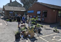 Many plants sold at Crediton Garden Club plant sale
