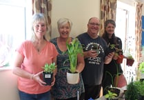 £800 raised at Cheriton Fitzpaine Garden Club plant sale
