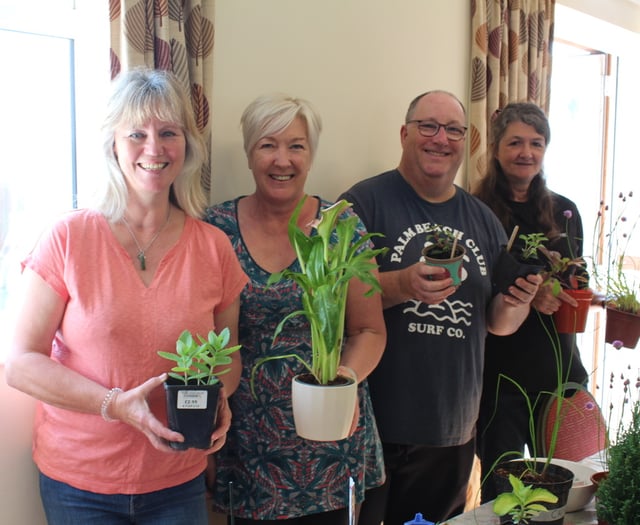 £800 raised at Cheriton Fitzpaine Garden Club plant sale
