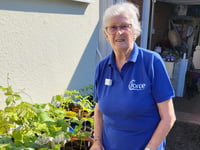 Crediton plant sale raises £500 for FORCE