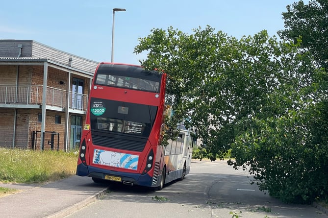 A Stagecoach bus having to mount the kerb to pass the partially fallen tree.  AQ 0505